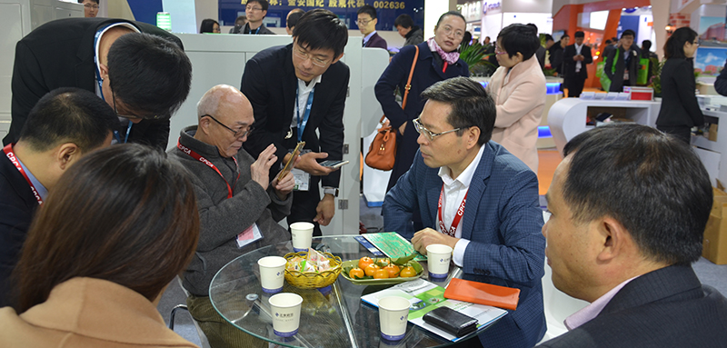 客户现场关注bg大游科技信息